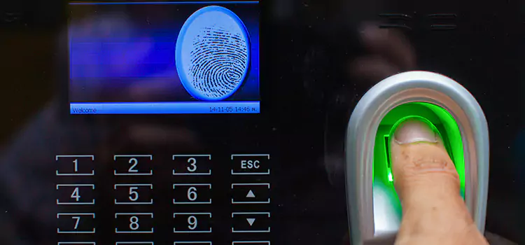 Your Trusted Partner for Secure Access in Bellview, FL
